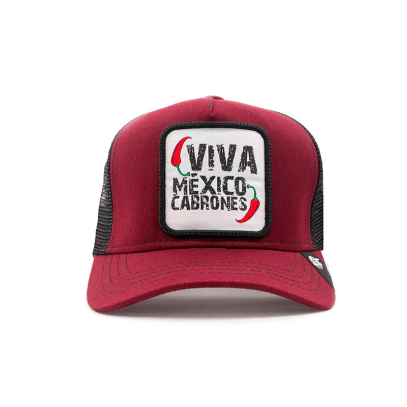 GORRA VIVA MÉXICO CABRONES V3