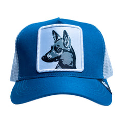 GORRA XOLO V2